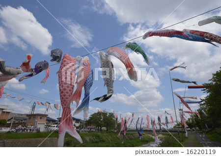 八王子商會Fureai Fumale Festival 16220119