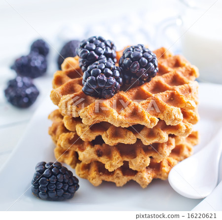 waffle 16220621