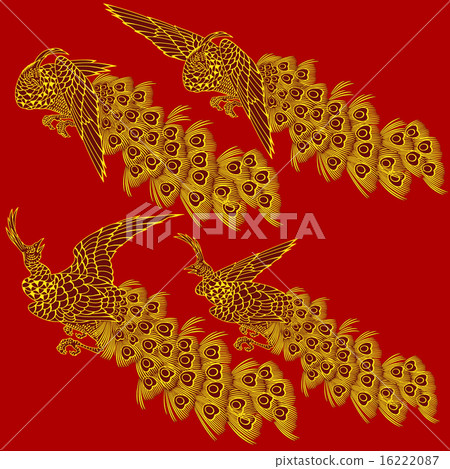日本畫孔雀 16222087