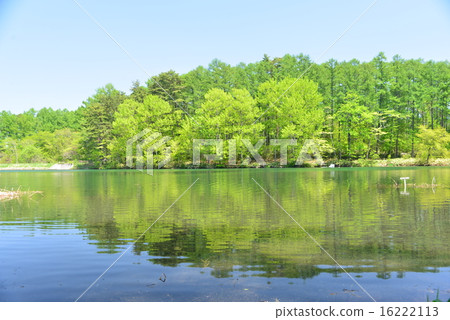2015年初夏大總統池塘 16222113
