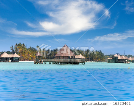 Huts in the sea and a palm tree 16223461