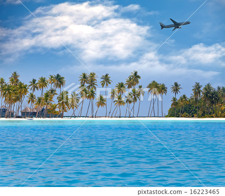 view of the ocean and a palm tree view of the ocean and a palm tree 16223465