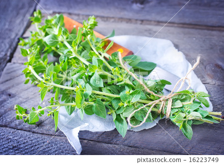 fresh greens fresh greens 16223749