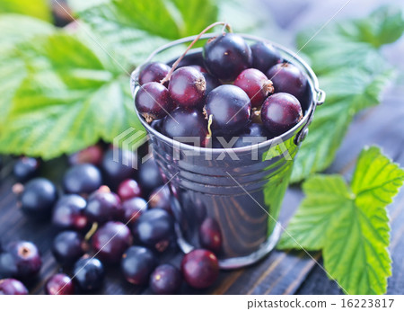 black currant black currant 16223817