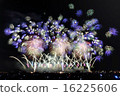Fireworks - Injury 16225606