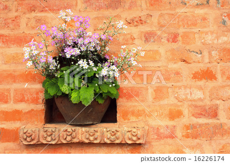 Flowerpot with white and lilac flowers Flowerpot with white and lilac flowers 16226174