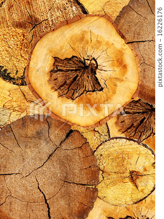 Background with texture cut of a log Background with texture cut of a log 16226176