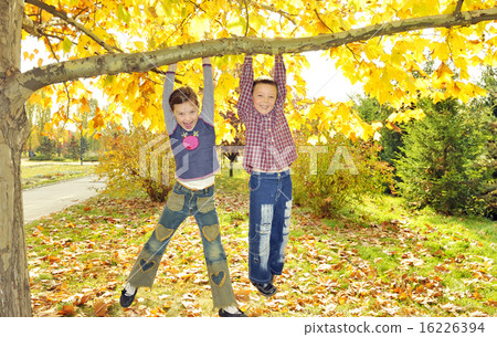 kids hanging from branch of tree 16226394