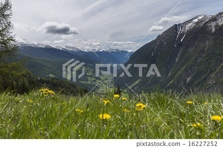 meadows and mountains meadows and mountains 16227252