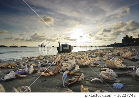 Mui Ne Beach, Vietnam 16227748