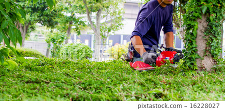 Gardener Gardener 16228027