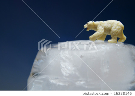Polar bears global warming melt Polar bears global warming melt 16228146