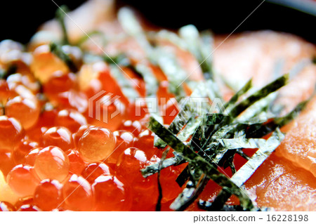 Ikura-rice bowl 16228198