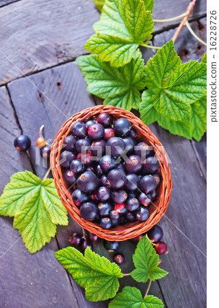 fresh berries fresh berries 16228726