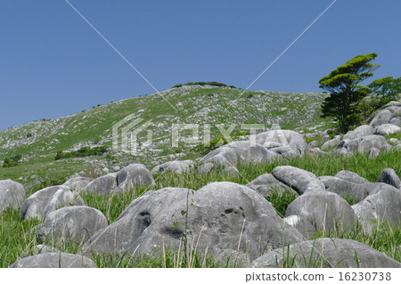 [Hiraodai] Hiraodai, Kokuraminami-ku, Kitakyushu City, Fukuoka Prefecture 16230738