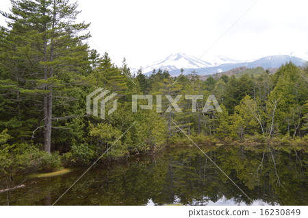 Beef lion pond and Norikura-dake Beef lion pond and Norikura-dake 16230849