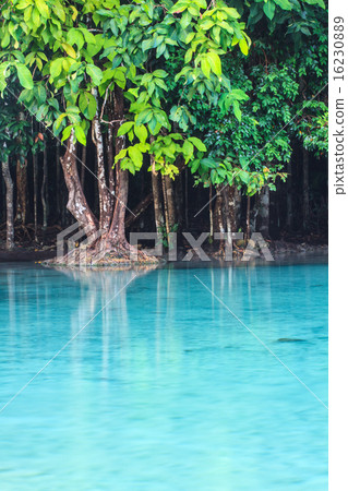 Emerald Pool (Sra Morakot) Krabi province  16230889