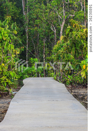 stone bridge in forest 16230891