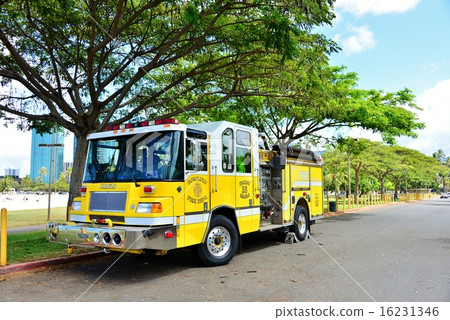 Holidays in Hawaii 16231346