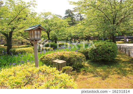 Kanazawa city, Ishikawa prefecture Scenery of Kenrokuen in May 16231814