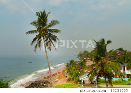 View of the Samudra beach in Kovalam 16231965