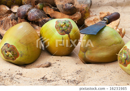 Coconuts with  knife 16231985