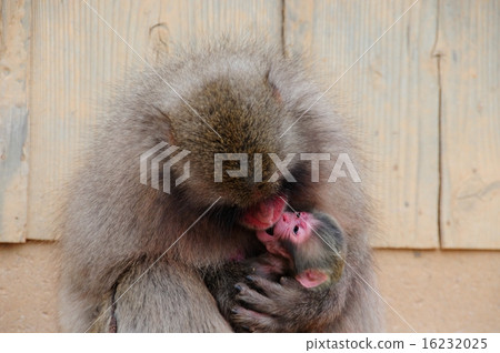 Motherly love Motherly love 16232025