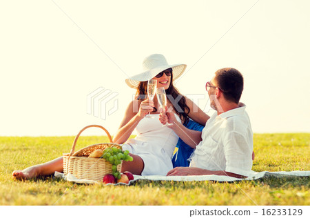 smiling couple drinking champagne on picnic 16233129