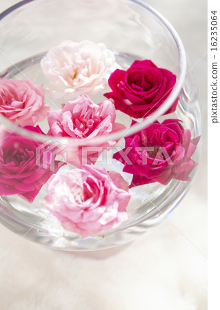 Rose flowers floating in water Rose flowers floating in water 16235064