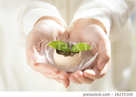 手與futaba 16235100