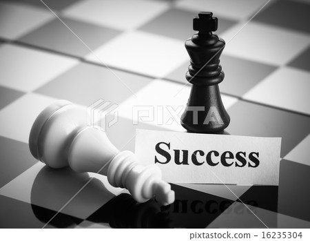 Chess Success 16235304