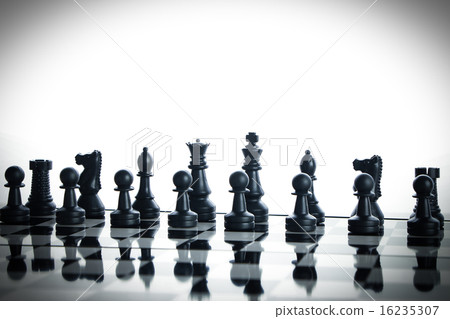 Chess full army 16235307
