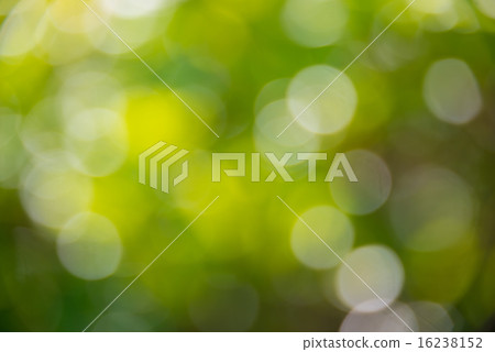 Background leaky day lens blur perming photo material 16238152