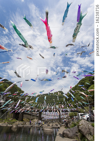 Carp streamer 16238716