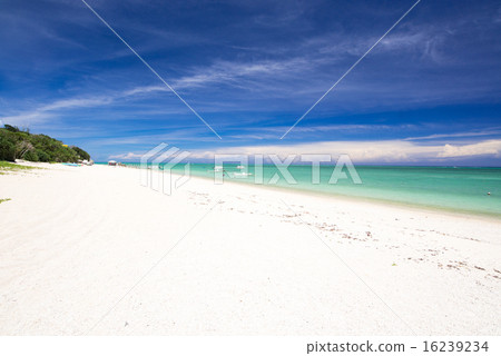 沖繩海灘·Mi Bairu海灘 沖繩海灘·Mi Bairu海灘 16239234