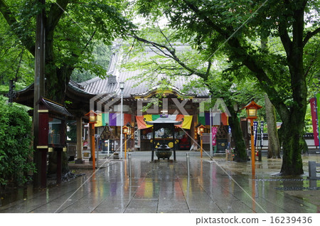 Shogo Edo Kawagoe Renkoji五色窗簾在雨中反映出來 Shogo Edo Kawagoe Renkoji五色窗簾在雨中反映出來 16239436