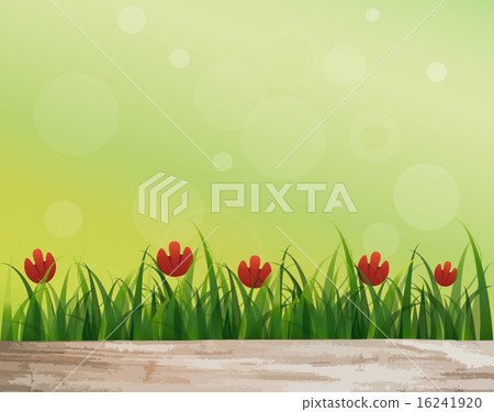 Natural background. Fresh spring green grass with red flower and Natural background. Fresh spring green grass with red flower and 16241920