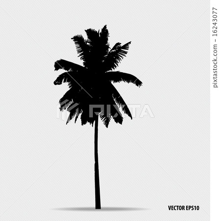 Tree silhouettes. Vector illustration. Tree silhouettes. Vector illustration. 16243077