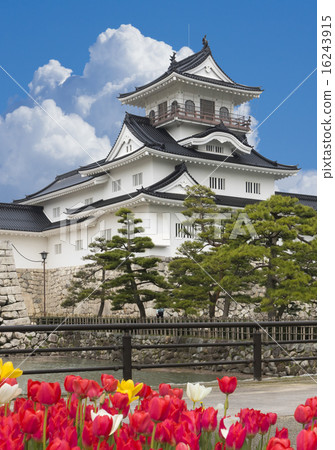 富山城堡 16243915