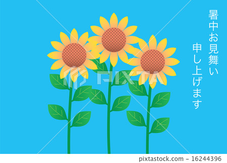 Sunflower's hot weather sympathy Sunflower's hot weather sympathy 16244396