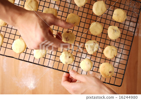 Freshly baked cookies served on kitchen table 16244980