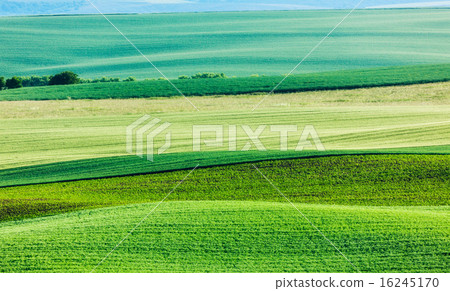 Abstract pattern of rolling fields 16245170