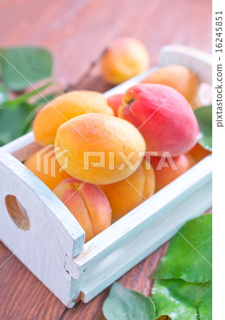 apricots 16245851