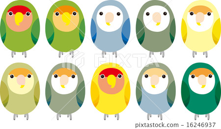 Kozaku Rinko Kozaku Rinko 16246937