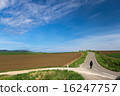 Biei hill and bicycle 16247757