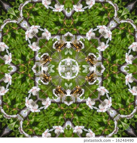Kaleidoscopic bee on flower seamless texture 16248490