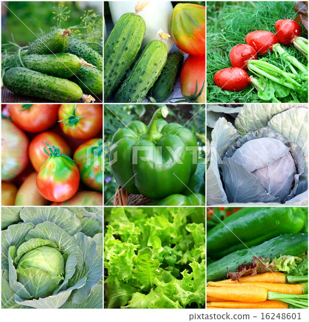 Healthy food background - collection with color ve 16248601