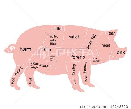 Vector pork chart Vector pork chart 16248700