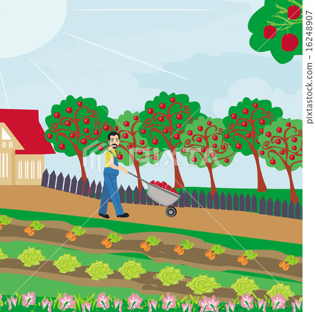 Gardener in the orchard Gardener in the orchard 16248907