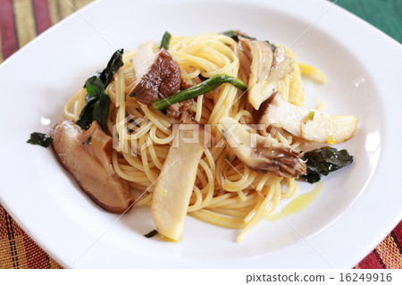 Mushroom pasta 16249916